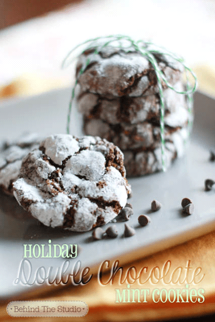 Double-chocolate-holiday-mint-cookies2