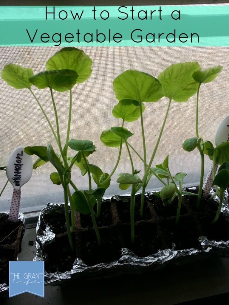 Easy steps to starting a vegetable garden