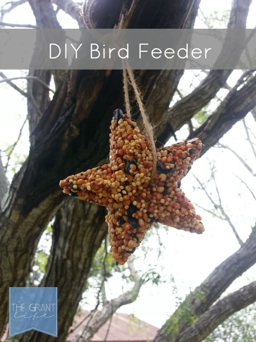 How to Make a DIY Bird Feeder this Summer