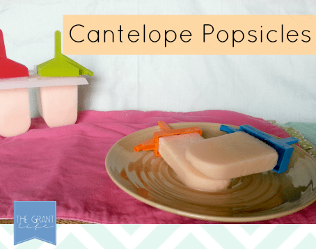 Easy cantelope popsicles