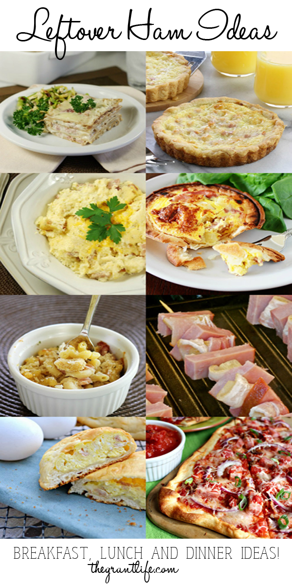 Leftover Ham Ideas!  Great recipes to use all that left over ham from the holidays!