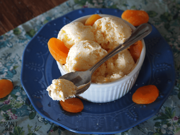 apricot ice cream