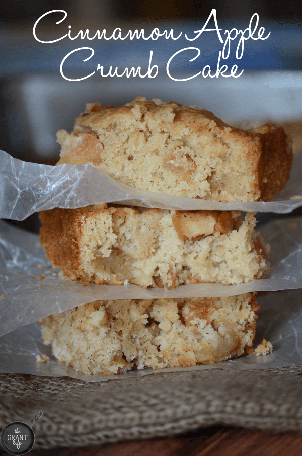 Cinnamon apple crumb cake! Delicious cake that would be perfect for breakfast or dessert!
