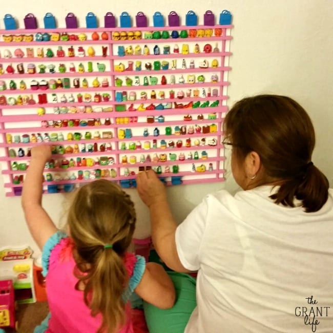 DIY Shopkins Storage Rack!