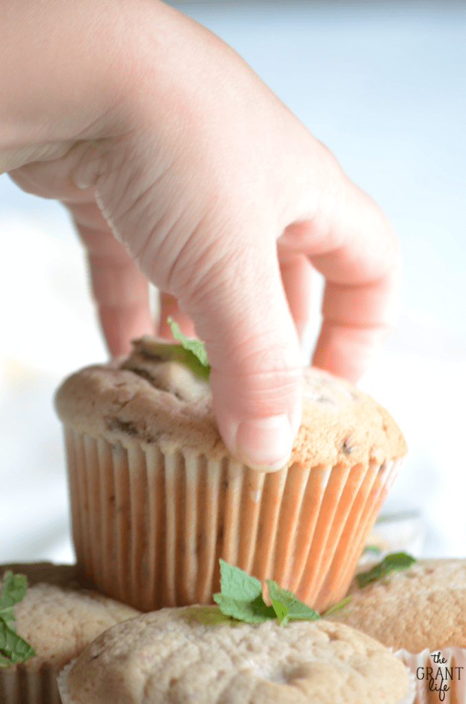 Yummy blackberry mint muffins