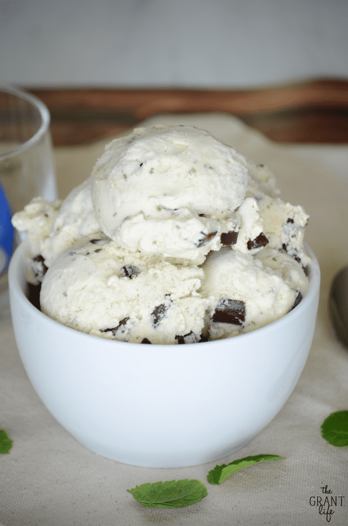 Homemade Mint Chocolate Chip Ice Cream