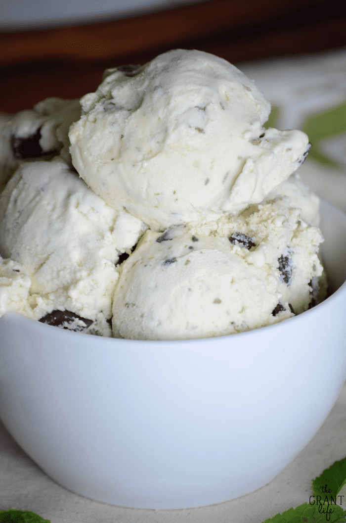 Homemade mint chocolate chip ice cream! With real mint and dark chocolate chips!