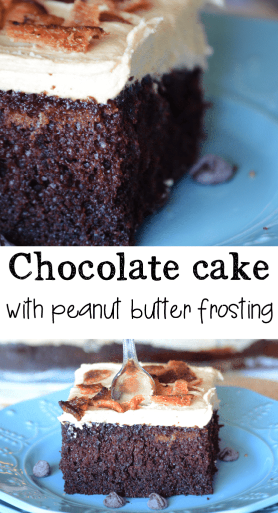 Chocolate cake with peanut butter frosting