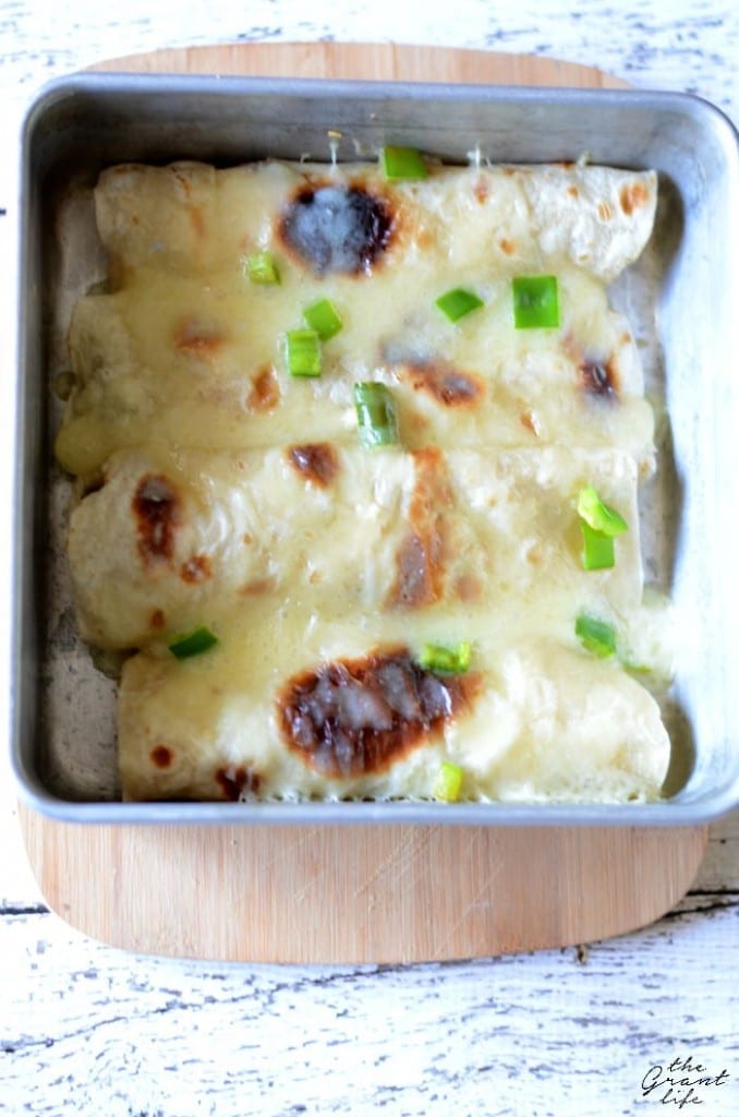 Homemade creamy hatch chili chicken enchiladas