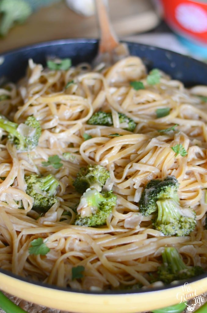 Broccoli Alfredo pasta