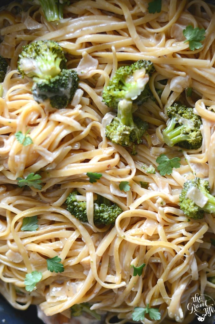 Homemade broccoli Alfredo pasta recipe