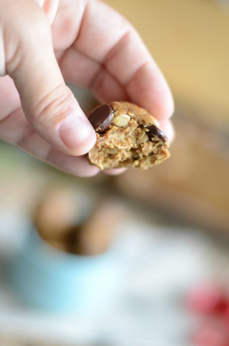 Nobake lactation energy bites mom makes dinner