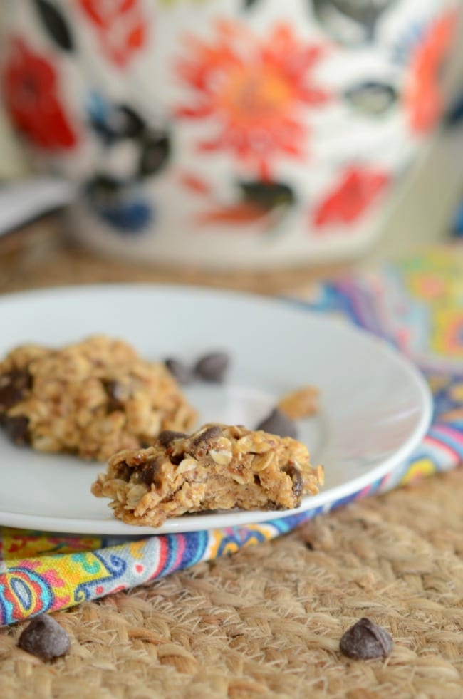 the best lactation cookies recipe