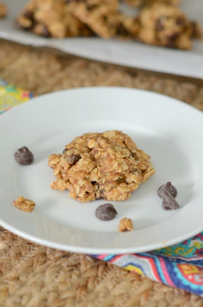 easily the best lactation cookies 