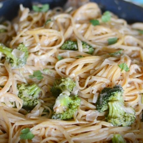 One pan broccoli Alfredo pasta