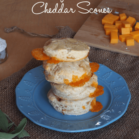 Caramelized Onion and Cheddar Scones
