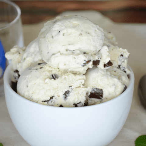 Homemade Mint Chocolate Chip Ice Cream