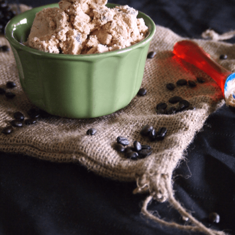 Java Chocolate Chip Ice Cream