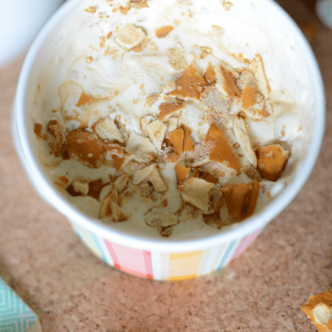 Salted caramel pretzel ice cream