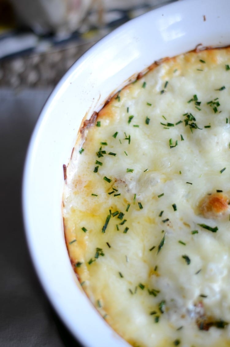 Shrimp scampi dip