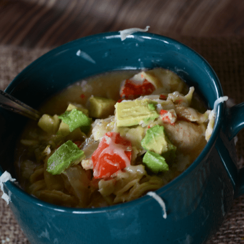 Crock pot Chicken Fajita Soup