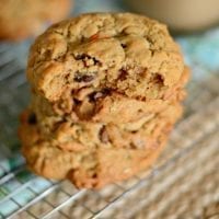 Monster lactation cookies
