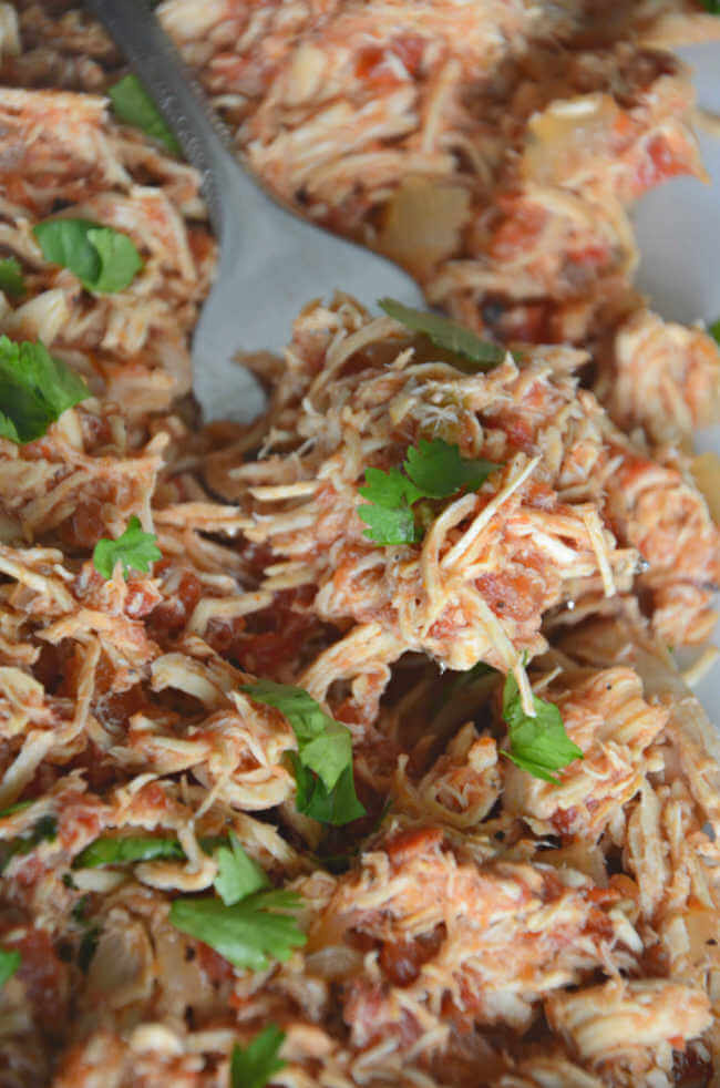 Crock Pot Mexican Shredded Chicken