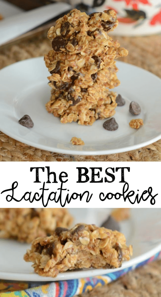 The best lacation cookies
