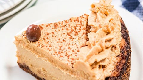 Instant pot tiramisu cheesecake new arrivals