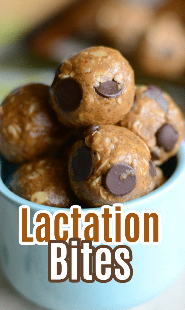 Lactation Energy Bites (for nursing moms) - Del's cooking twist