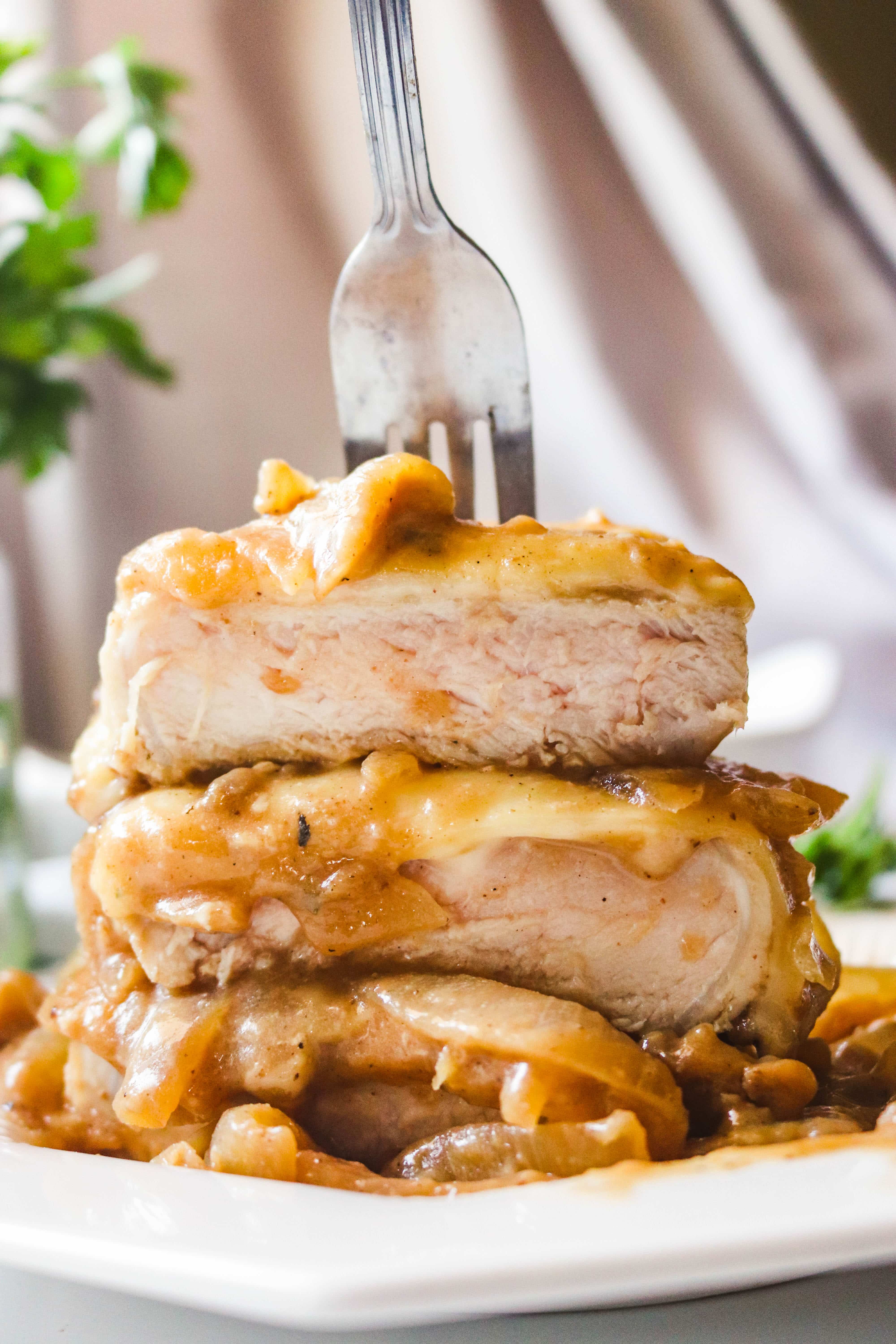 Instant pot french onion pork chops new arrivals