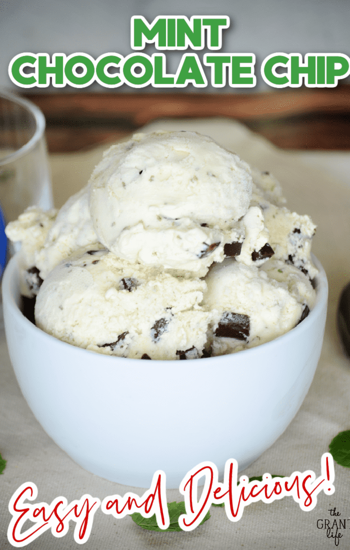 Homemade Mint Chocolate Chip Ice Cream - mom makes dinner