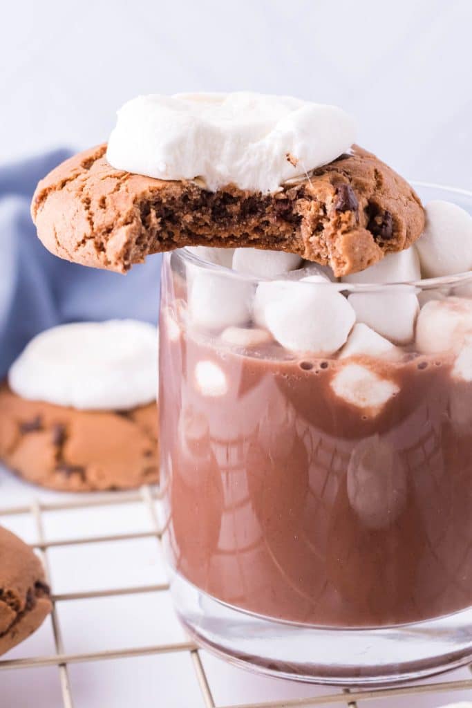 hot chocolate cookie on top of a cup of hot cocoa