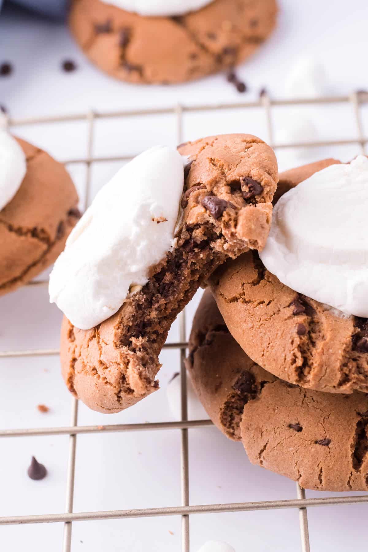 Hot Cocoa Cookies