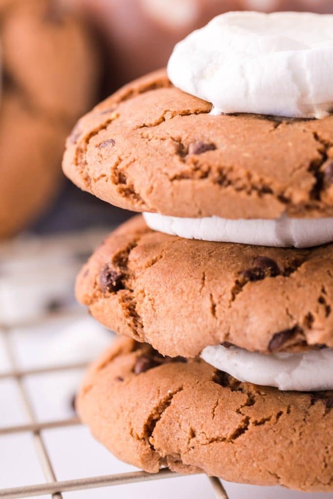 the best hot chocolate cookies